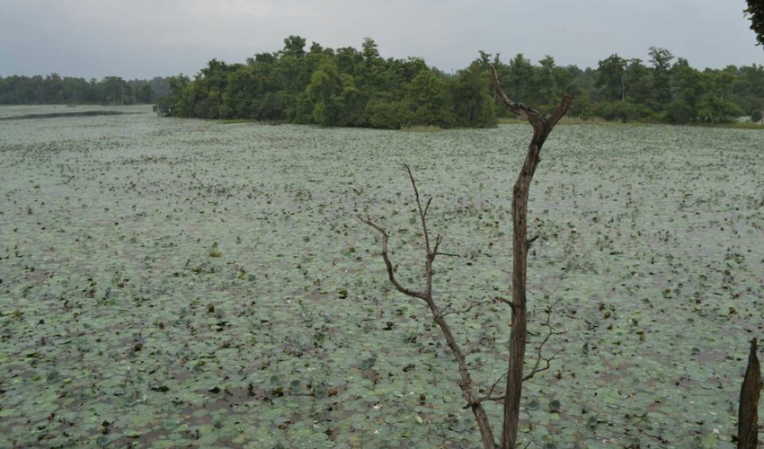कैलालीको घोडाघोडी तालमा आन्तरिक पर्यटकको चहलपहल बढ्यो