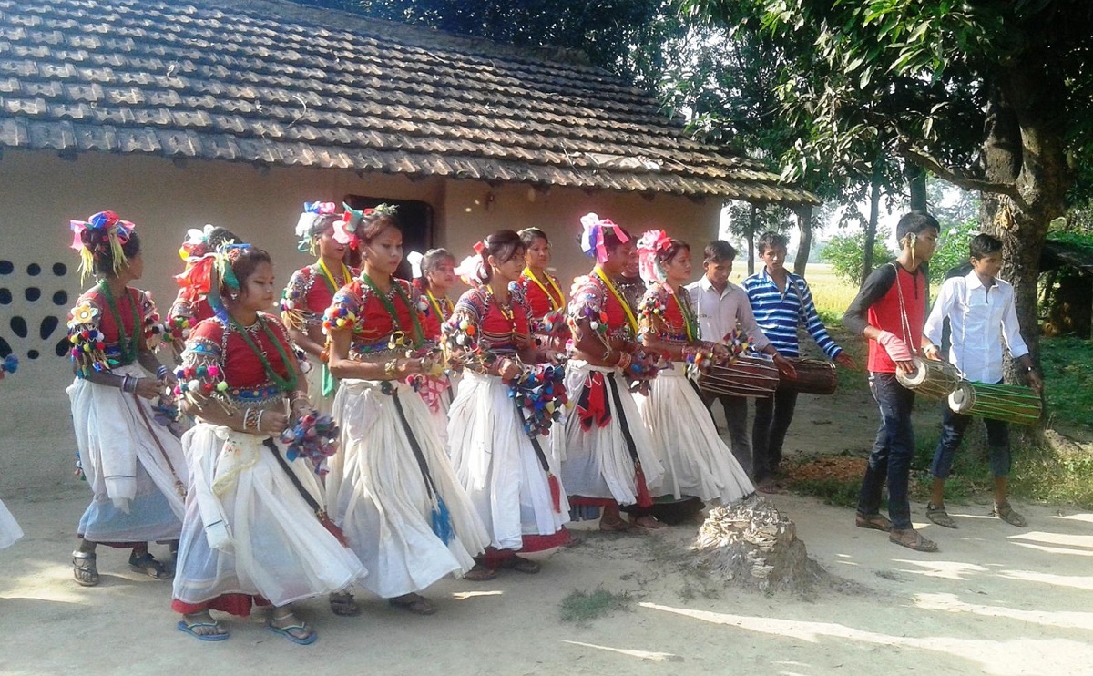 कञ्चनपुरका थारु बस्तीमा सखिया नाचको रौनक